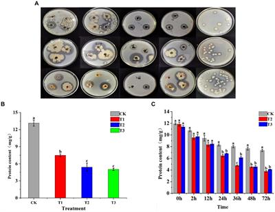 Degradation and mechanism analysis of protein macromolecules by functional bacteria in tobacco leaves